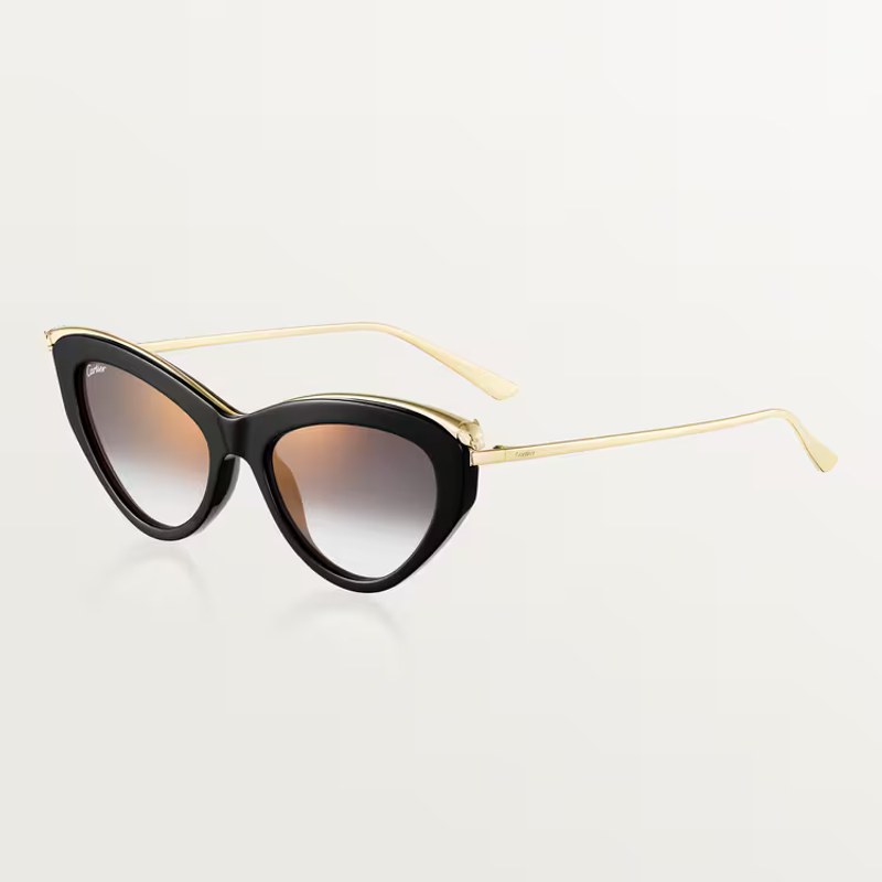 Lunettes de soleil de luxe — exemple 1
